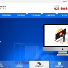 湖北楚泰软件信息公司 专业软件开发解决方案，助力企业数字化转型